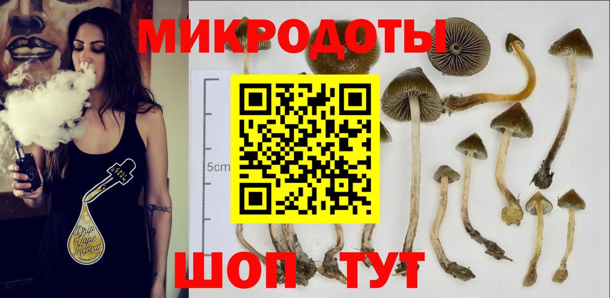 Галлюциногенные грибы прущие грибы  Псилоцибиновые грибы Psilocybine cubensis  Вход с VPN  Орехово-Зуево 